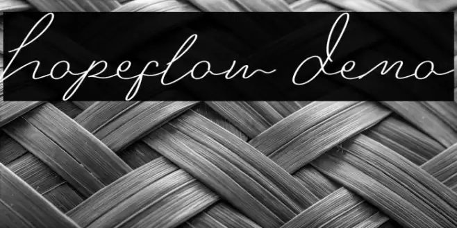 Hopeflow Demo Polices examples