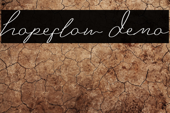 Hopeflow Demo Example 2