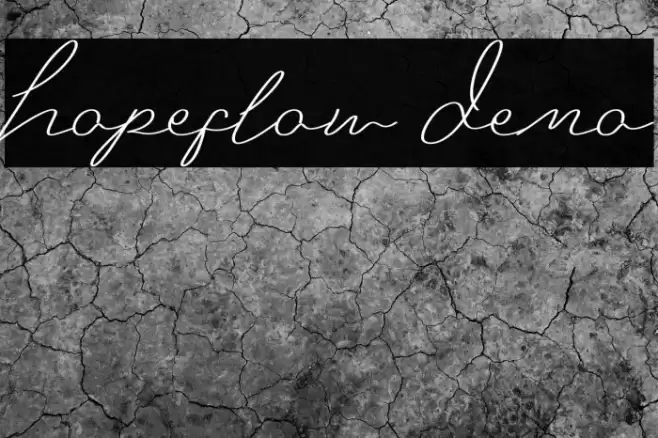 Hopeflow Demo Polices examples