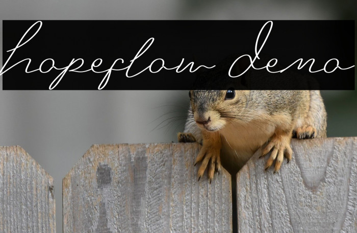 Hopeflow Demo Example 3