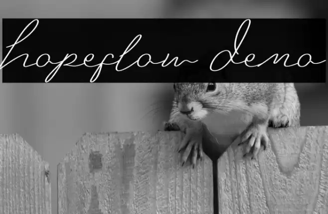 Hopeflow Demo Polices examples