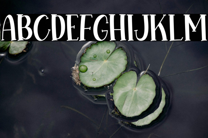 Hopeful Christmas Solid Example 1