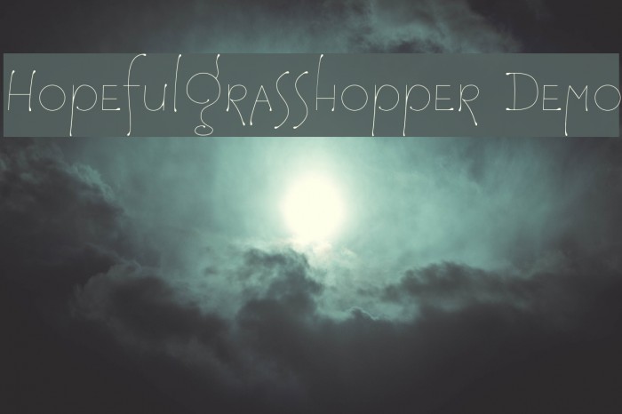 HopefulGrasshopper Demo Example 1
