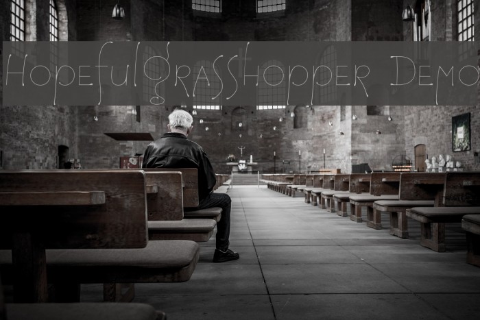 HopefulGrasshopper Demo Example 2