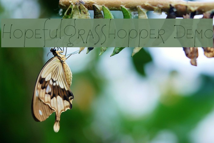 HopefulGrasshopper Demo Example 3