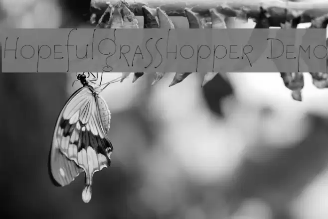 HopefulGrasshopper Demo Font examples