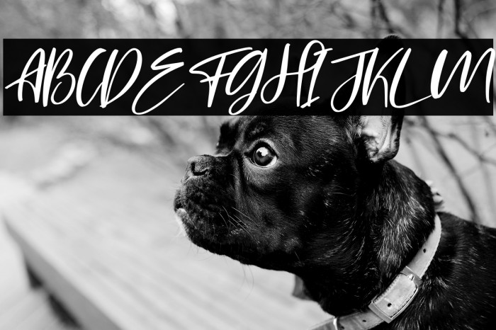 Hopelove Italic Example 2