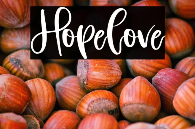 Hopelove Example 1
