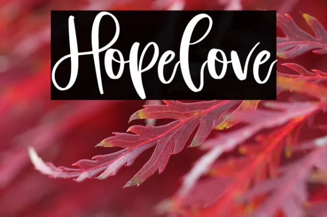 Hopelove Example 2
