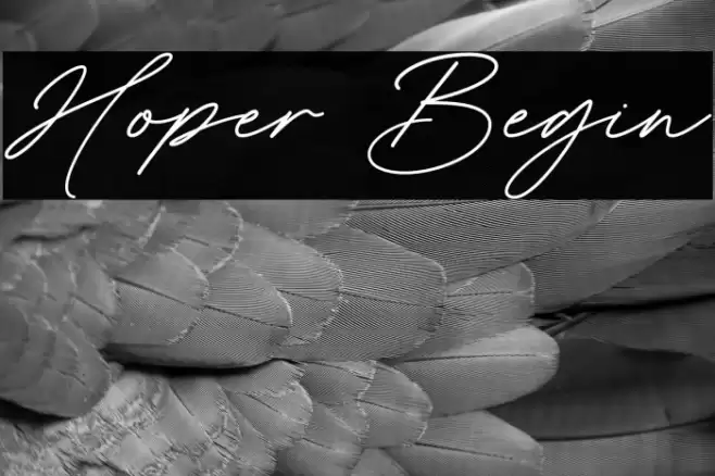 Hoper Begin Font examples