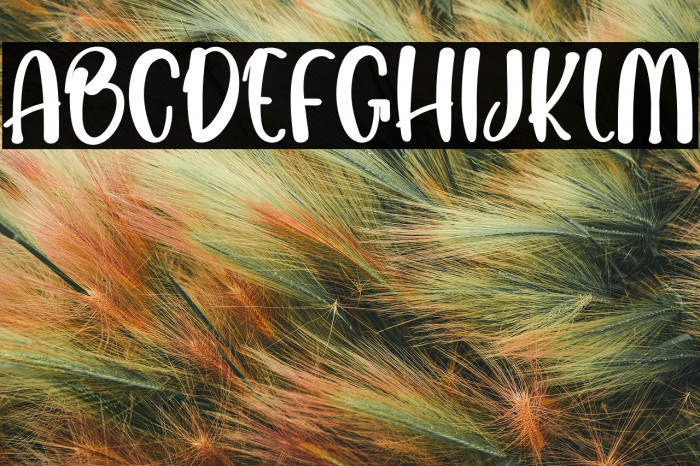 Hopes Smile Example 1