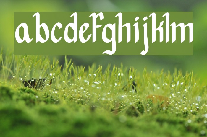 Hopes are free Font examples