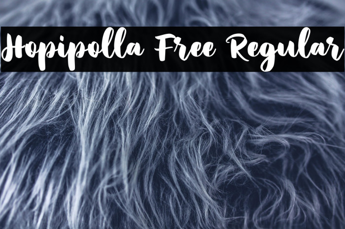 Hopipolla Free Regular Example 1