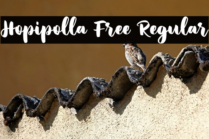 Hopipolla Free Regular Example 3