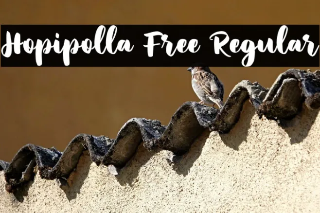 Hopipolla Free Regular Example 3
