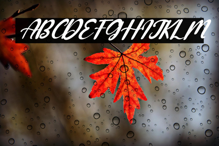 Hoppe Dizzie Italic Example 1