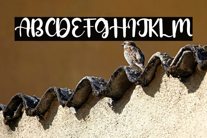 Hoppe Dizzie Example 1