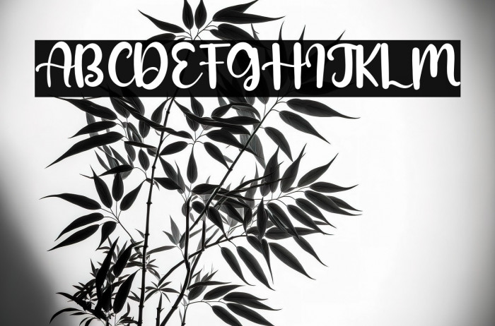 Hoppe Dizzie Example 2