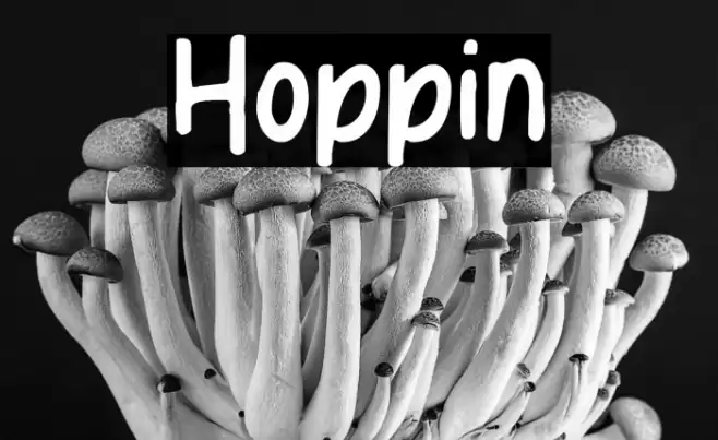 Hoppin Font examples