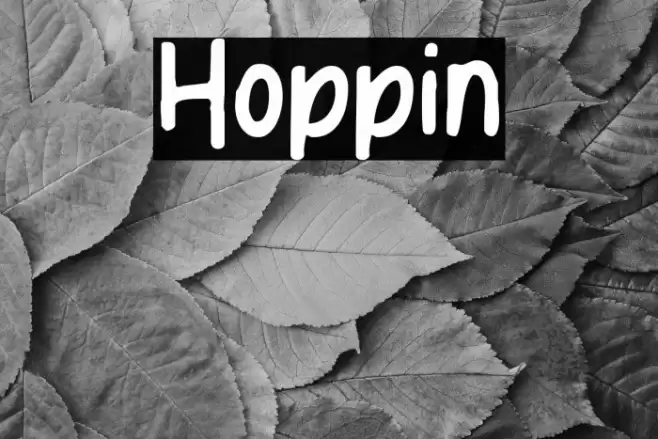 Hoppin Font examples