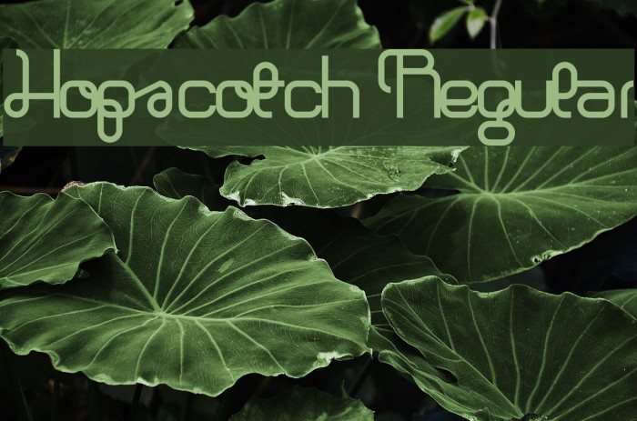 Hopscotch Regular Font examples
