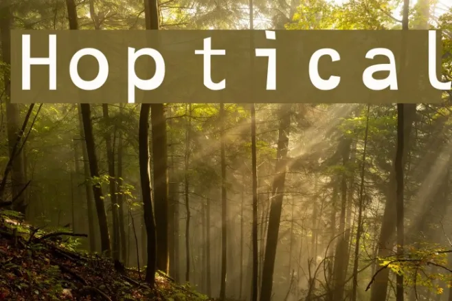 Hoptical Example 1
