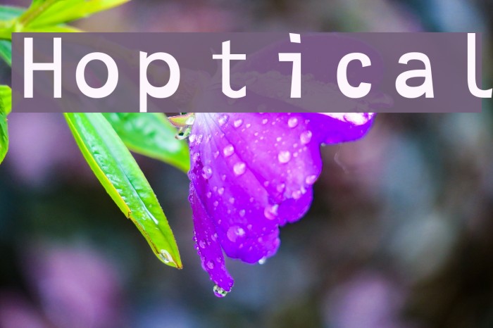 Hoptical Font examples