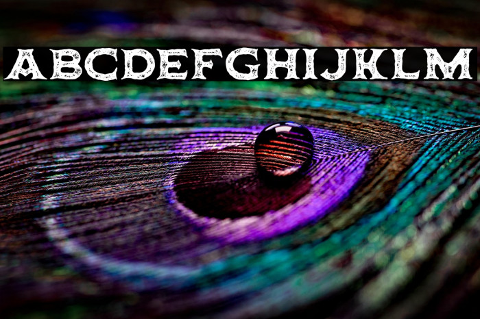 Horbse Textured Example 1