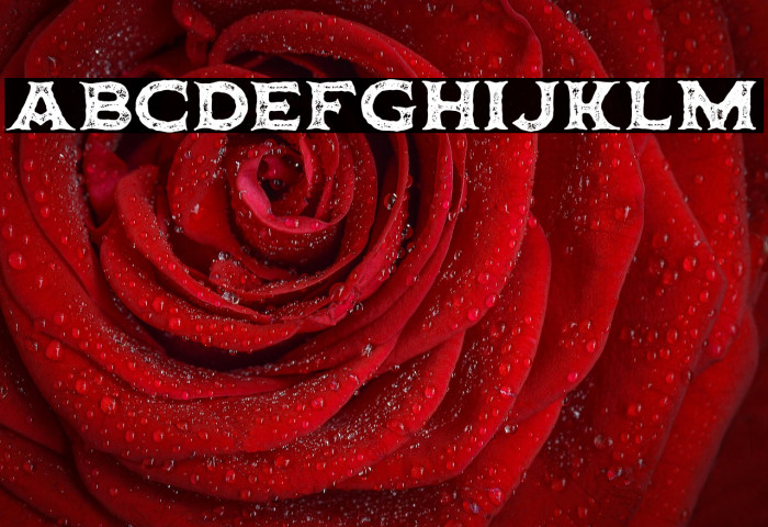 Horbse Textured Example 2