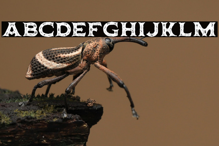 Horbse Textured Example 3