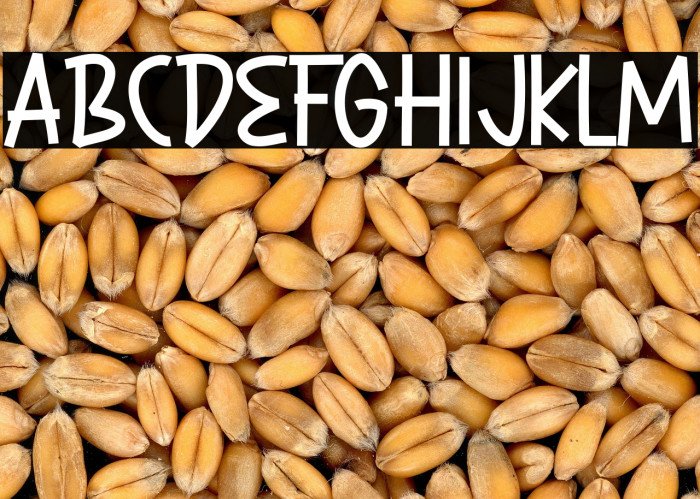 Hore Christmas Example 2