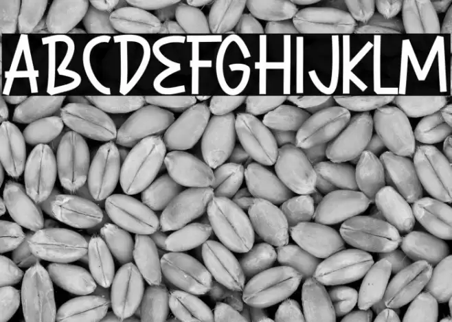 Hore Christmas Font examples