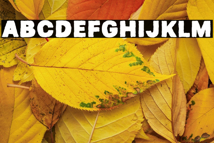 Horeg Bolot Example 3