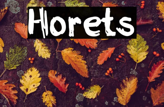 Horets Example 2