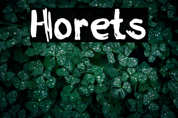 Horets Example 3