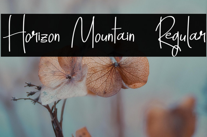 Horizon Mountain  Regular Example 3