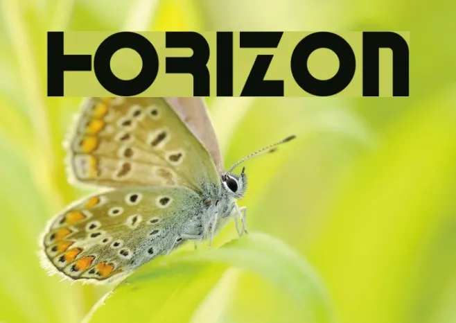 Horizon Example 3