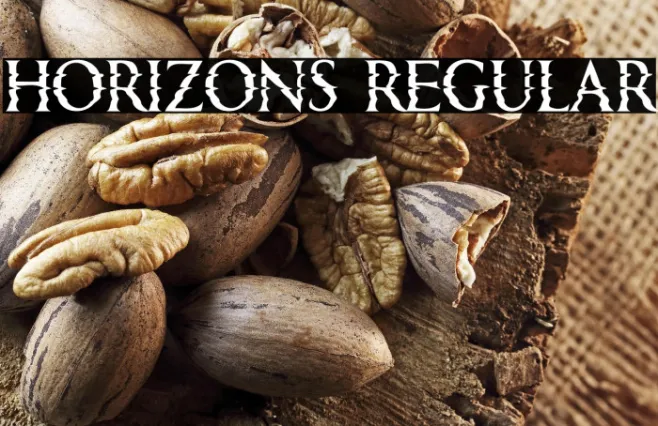 Horizons Regular Example 1