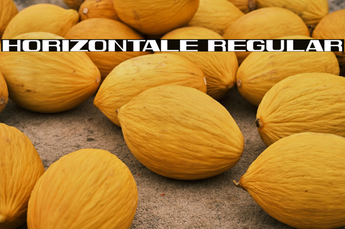 Horizontale Regular Example 2