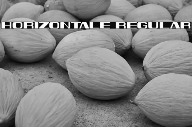 Horizontale Regular Font examples
