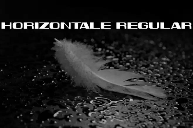 Horizontale Regular Font examples