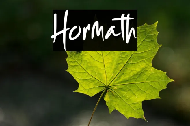 Hormath Example 1