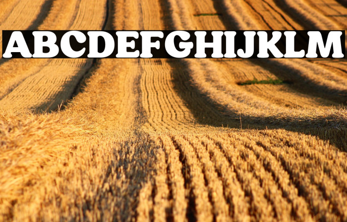 HornbillPersonalUse-Black Example 2