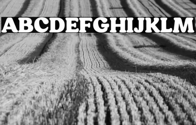 HornbillPersonalUse-Black Font examples