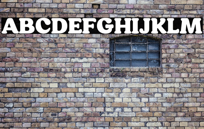 HornbillPersonalUse-Black Example 3