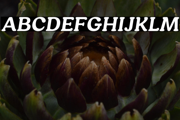 HornbillPersonalUse-BoldIta Example 2