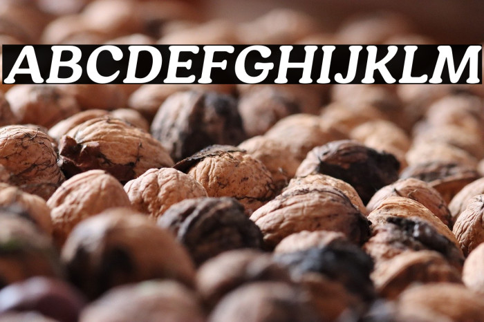 HornbillPersonalUse-BoldIta Example 3