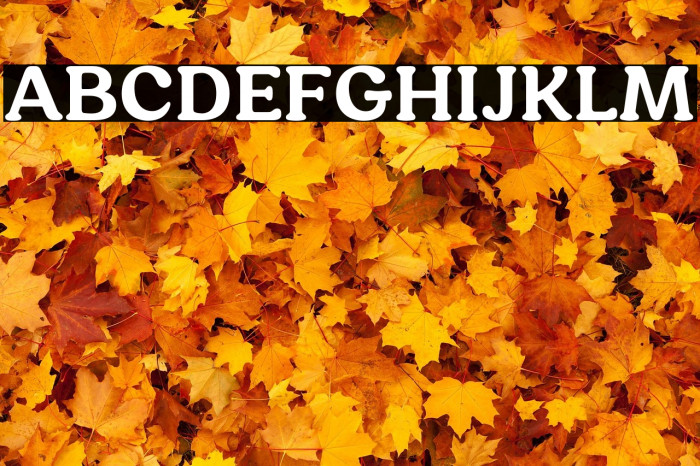 HornbillPersonalUse-Bold Example 3