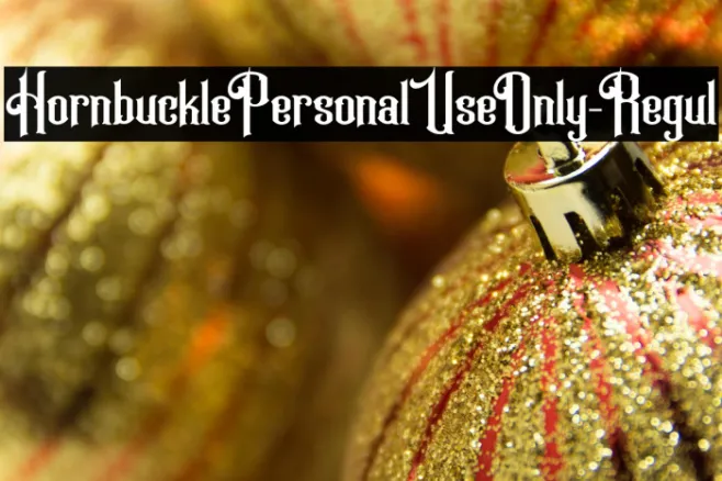 HornbucklePersonalUseOnly-Regul Example 2