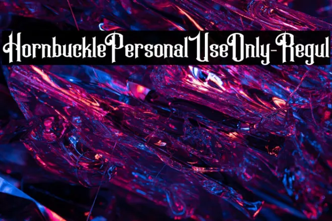 HornbucklePersonalUseOnly-Regul Example 3
